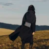 Nodde-editie gladde steen